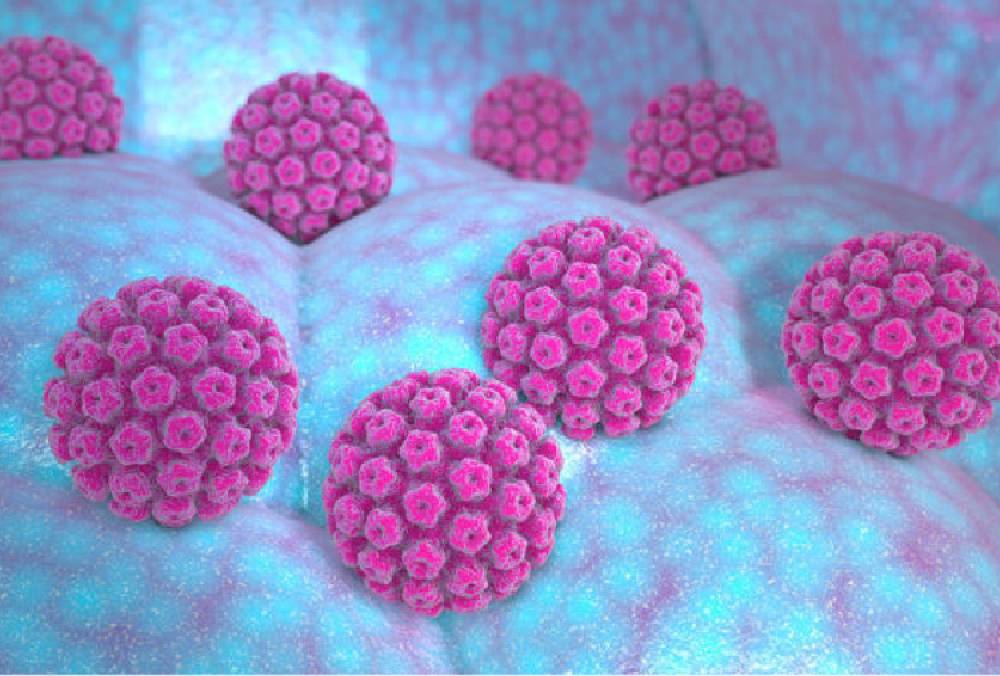 بیماری زگیل تناسلی یا عفونت HPV چیست؟                                            